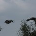 mini-IMG_1313
